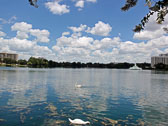 P7270131_edited-1.jpg