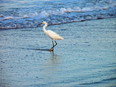P7280154_edited-1.jpg