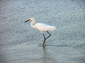 P7280159_edited-1.jpg