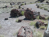 P6276412_edited-1.jpg