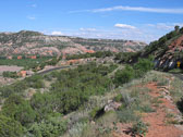 P6296446.jpg