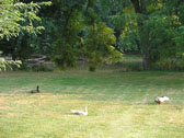 Gettysburg - 2009